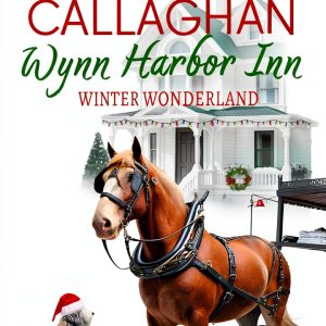 Kindle Single Women Fiction Book 4 of 5 Wynn Harbor Inn-0