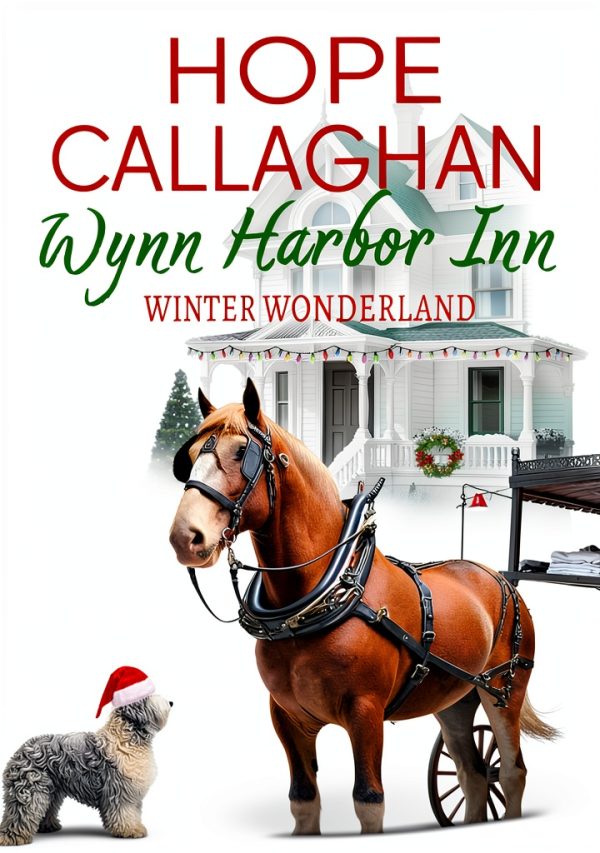 Kindle Single Women Fiction Book 4 of 5 Wynn Harbor Inn-0