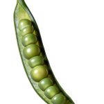 Penguin Books Nutrition Guide Kindle Edition-0
